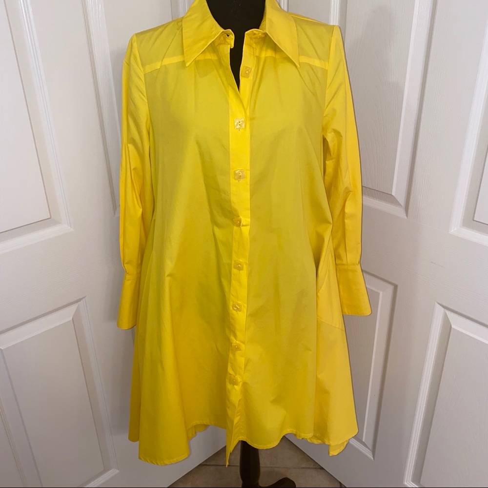 Ashro Dress